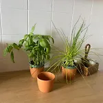 Minimalist Independant Au Calme Tatil Evi Commentry