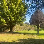 Minimalist Independant Au Calme